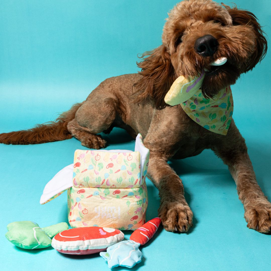 Dog Toy