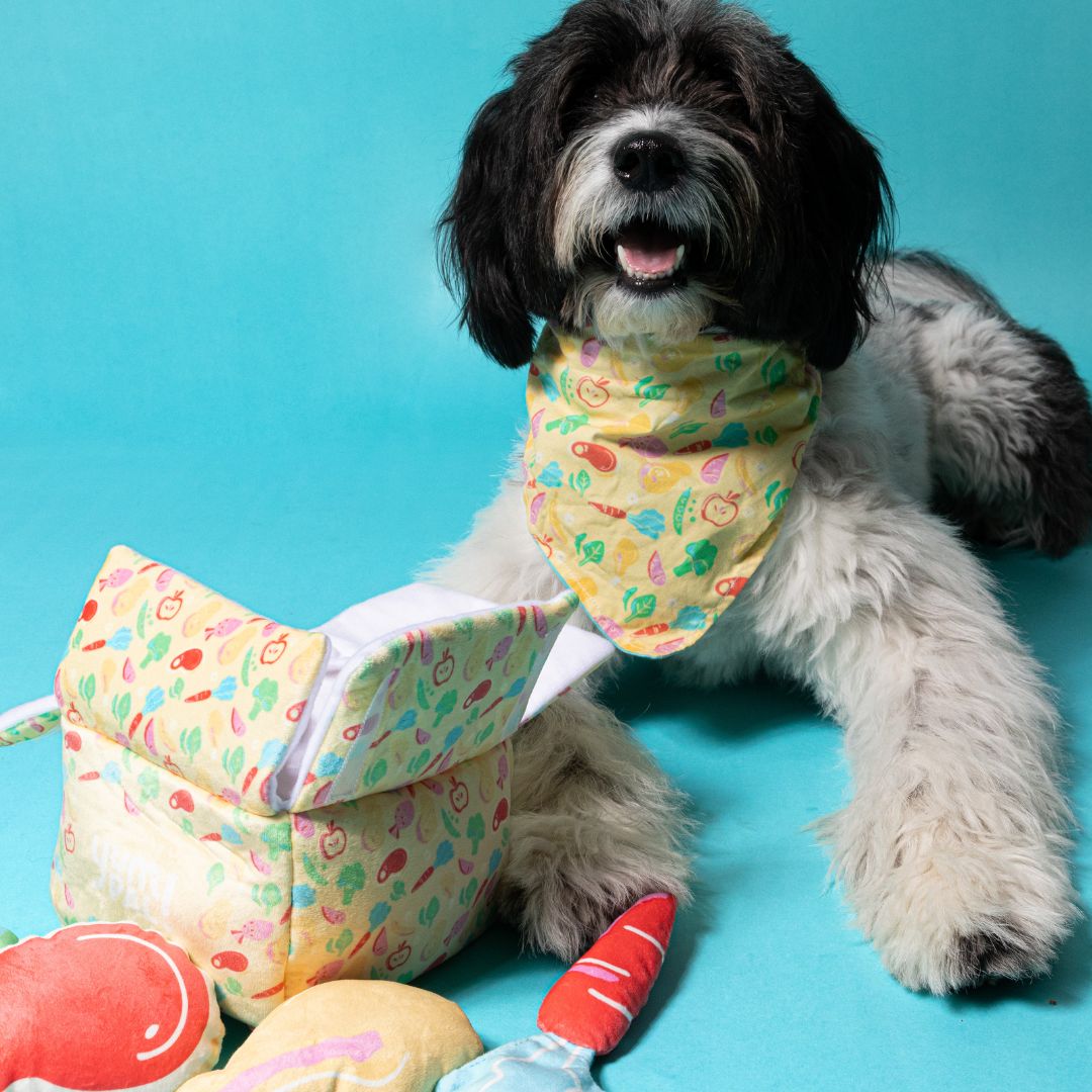 Dog Toy