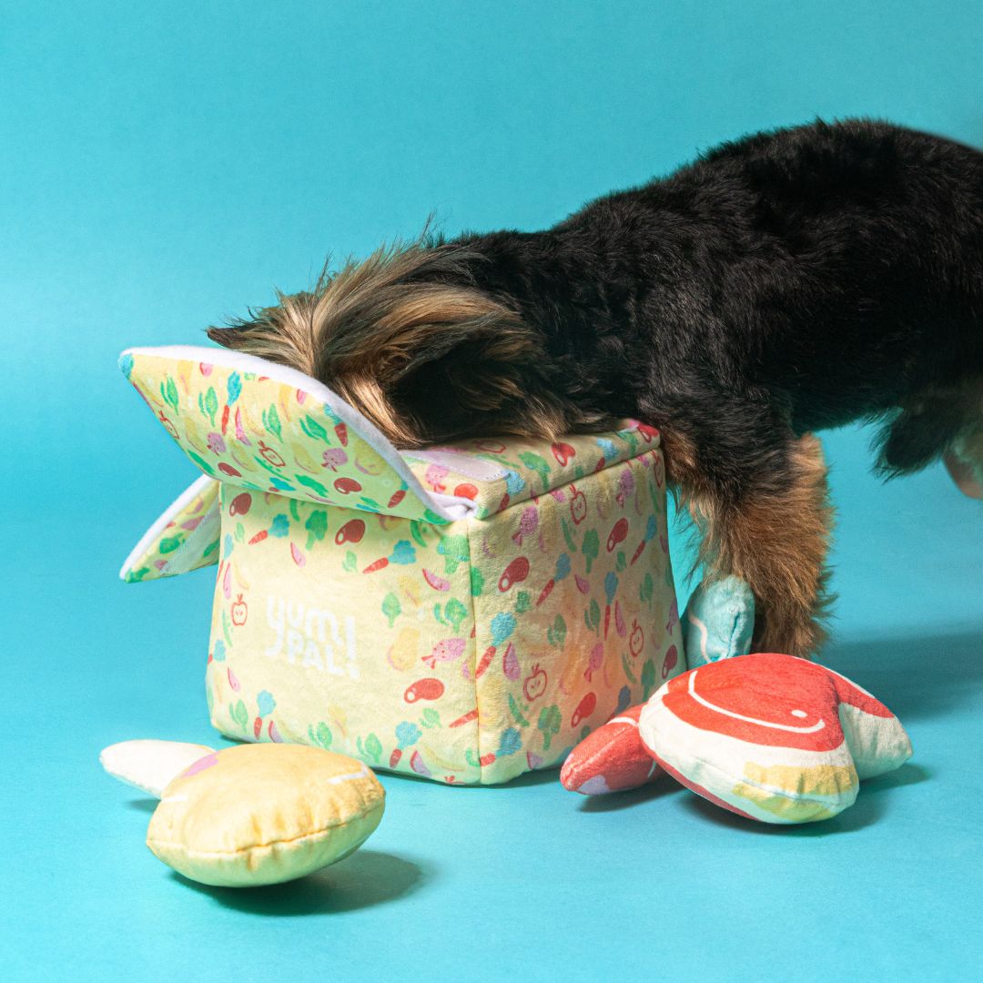 Dog Toy
