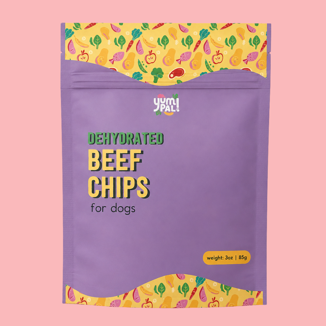 Beef Chips