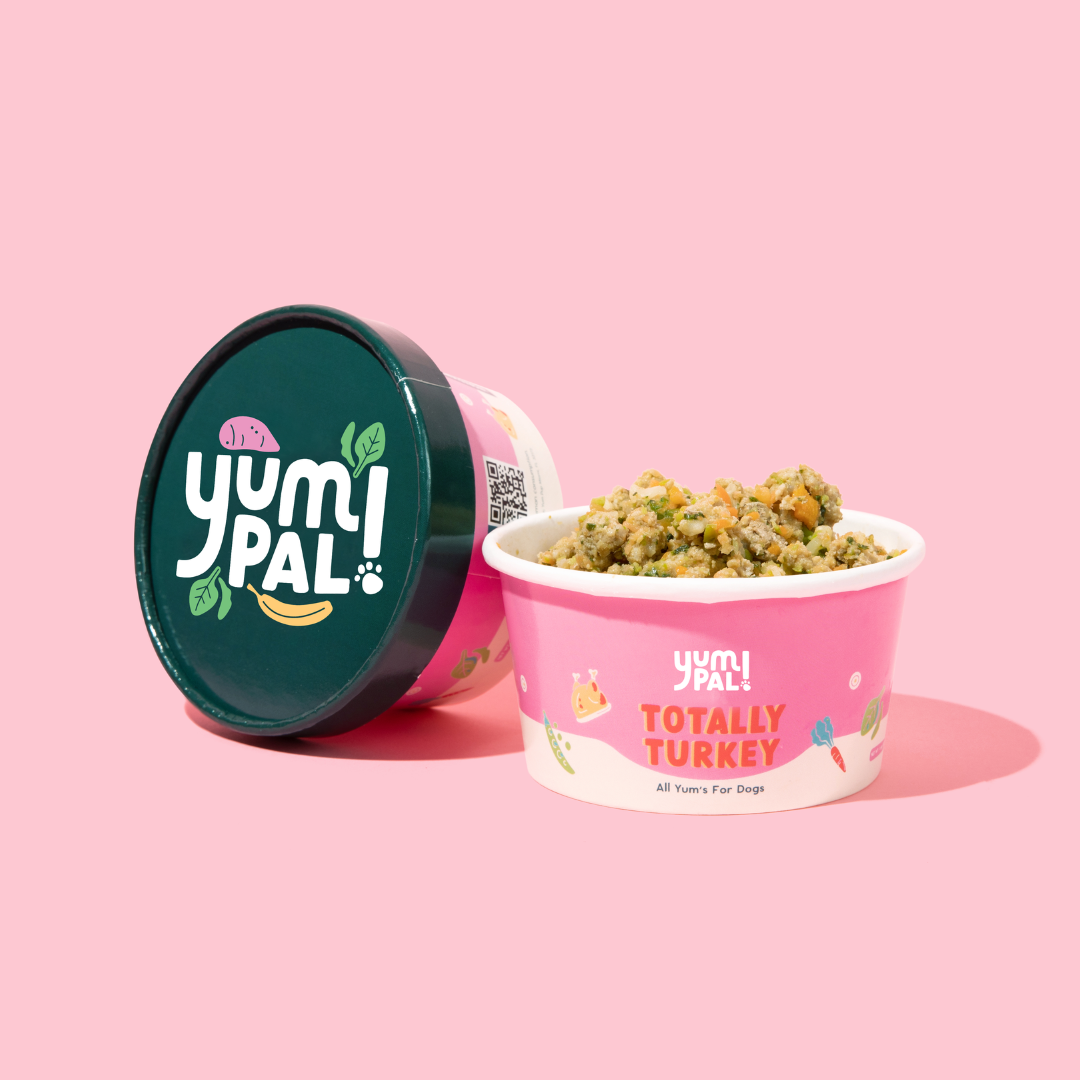 Ready to Serve Cups (10 cups)