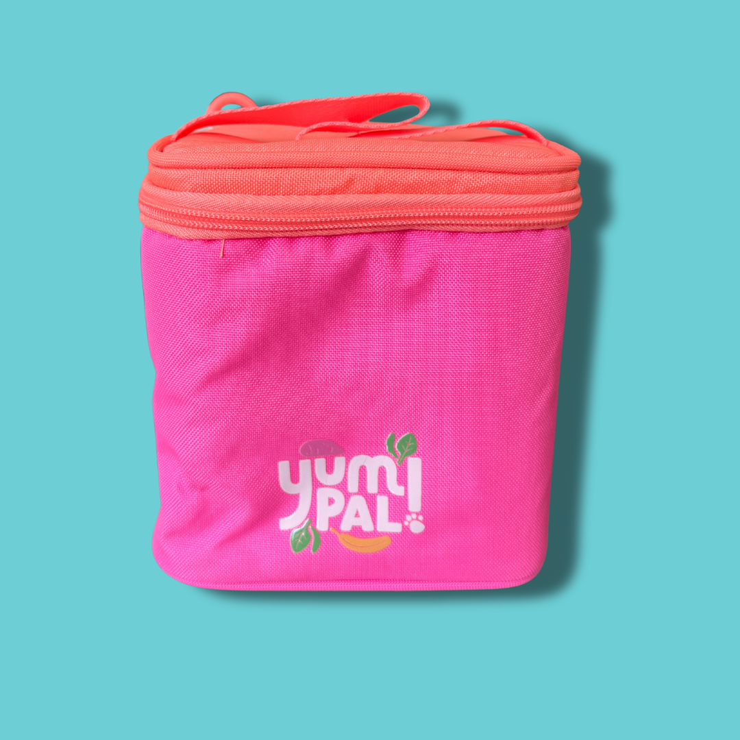 Mini Cooler