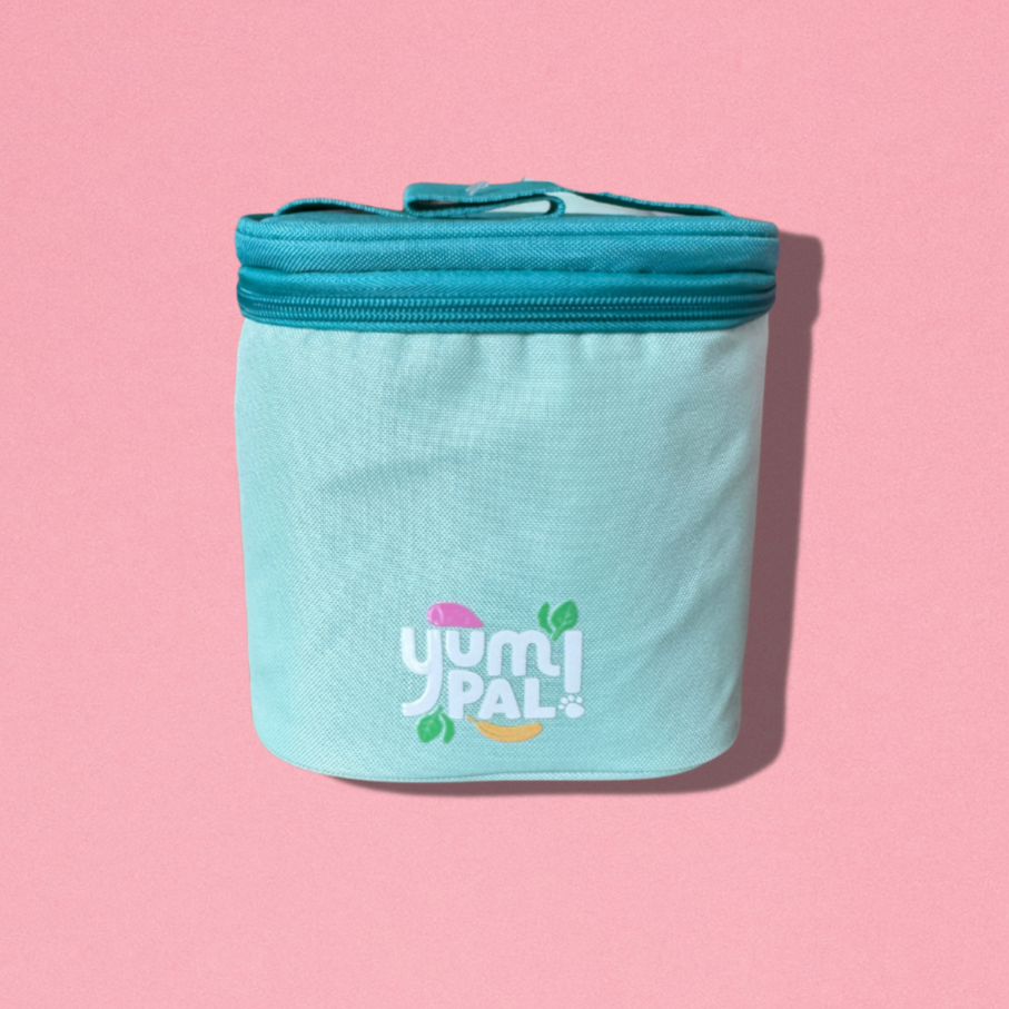 Mini Cooler