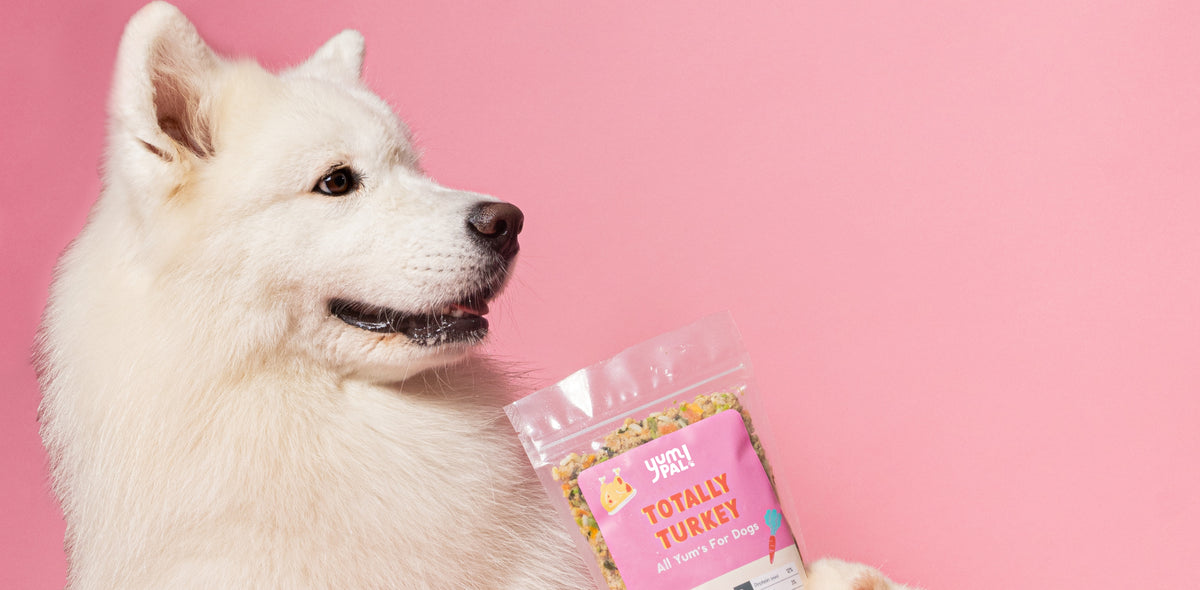 Yum Pup